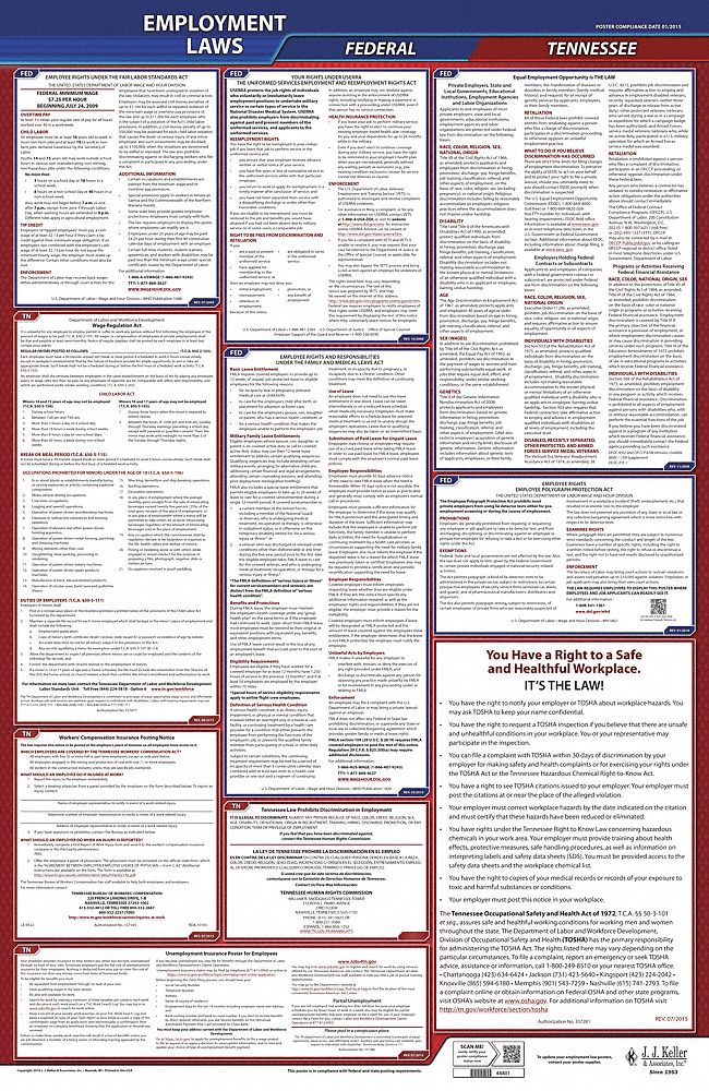 Labor Law Poster: Federal and State Labor Law, TN, English, Plastic, 24 in x 40 in