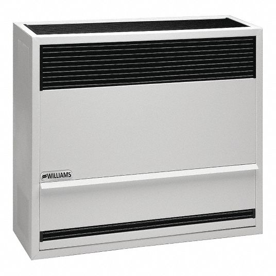 WILLIAMS COMFORT PRODUCTS Surface-Mount Gas Wall Heater: Propane, Gravity  Convection