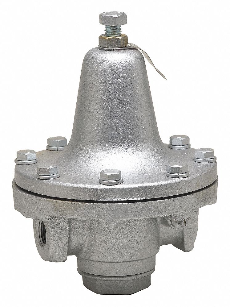 PROCESS STEAM PRESSURE REGULATOR: IRON, FNPT X FNPT, ¾ IN INLET CONNECTION SIZE