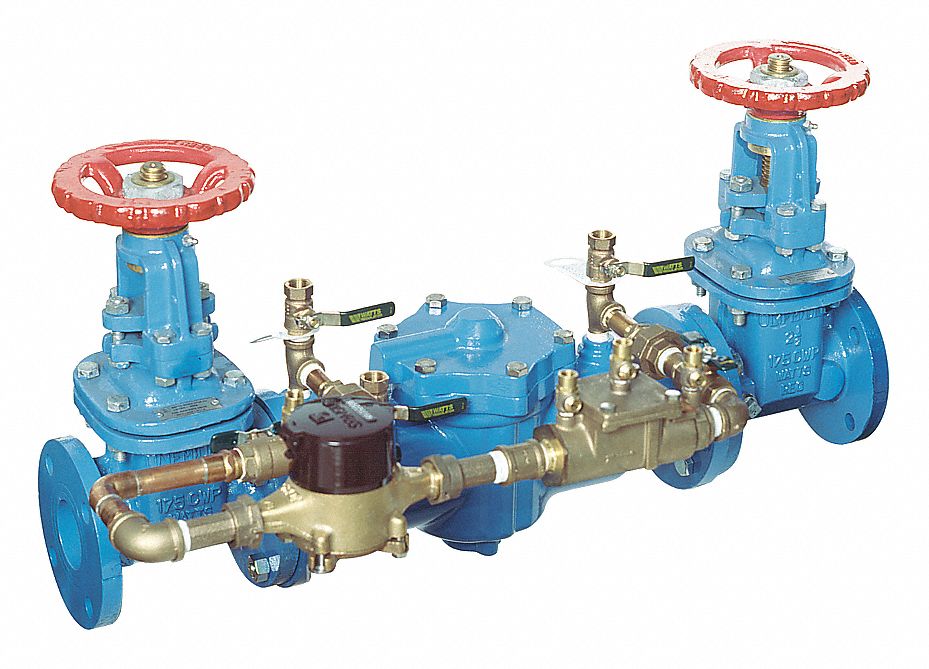 WATTS, 007, Cast Iron, Double Check Detector Assembly 36JC87