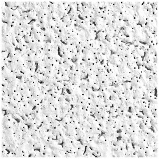 ARMSTRONG, 737C, Designer, Ceiling Tile 36N478737C Grainger