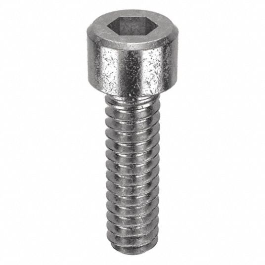 6-32 Thread Size, 1/2 in Lg, Socket Head Cap Screw - 36RJ84