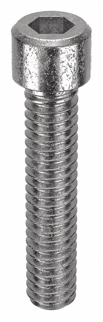 Socket Head Cap Screw: 1/4"-20 Thread Size, 1 1/4 in Lg, Std, NL-19, Stainless Steel, 18-8, 10 PK