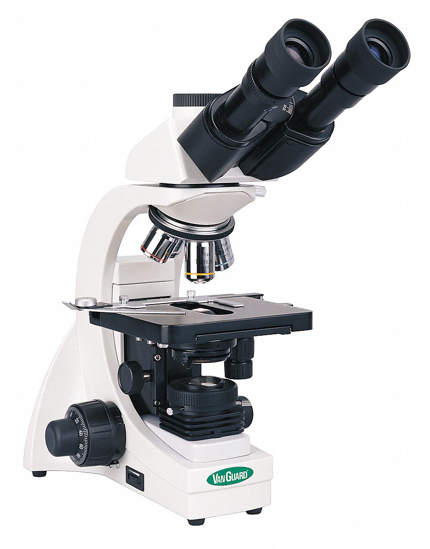Compound Microscope: 1 1