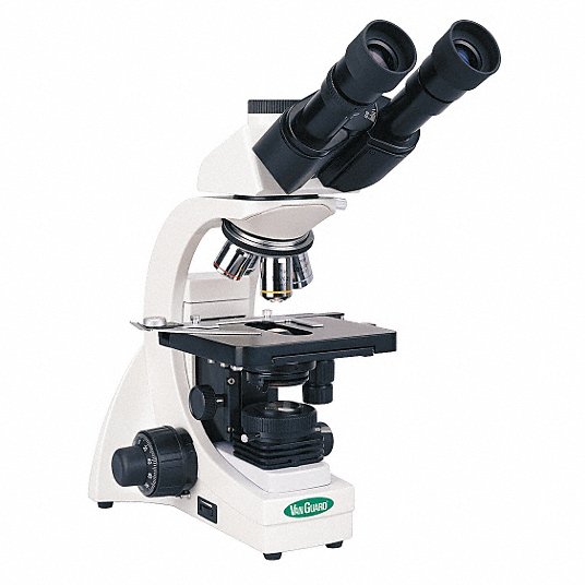 Compound Microscope: 1 1