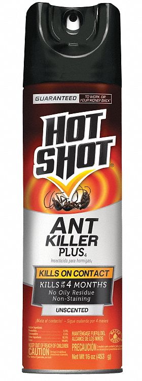 Ant Killer: Aerosol, Lambda Cyhalothrin, DEET-Free, Indoor/Outdoor, 16 oz, Ants