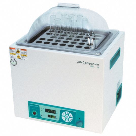 LAB COMPANION Water Bath, 5L, 120 V 36XL17BW05H Grainger