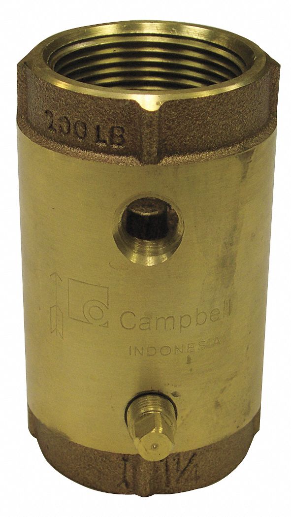 SPRING CHECK VALVE WITH TAPS, POPPET, INLINE VALVE BODY, 1 IN PIPE, FNPT X FNPT, BRASS