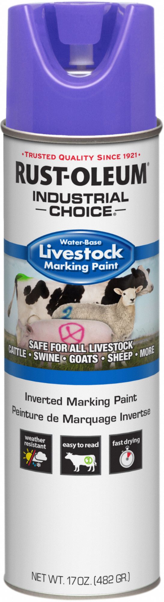 Marking Paint: Inverted Paint Dispensing, Fluorescent Purple, 17 oz