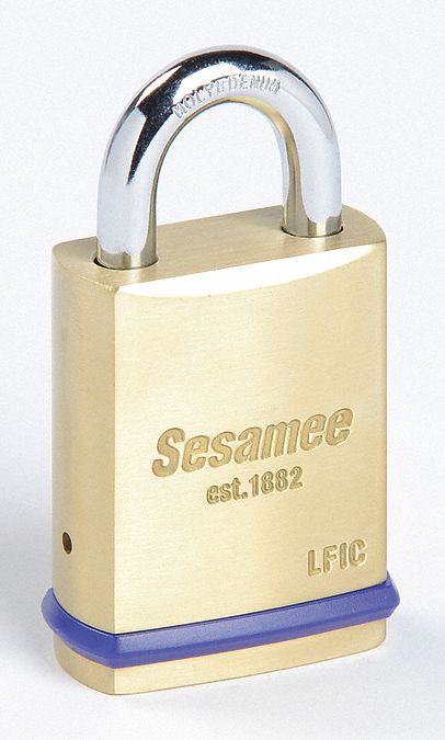 Padlock: 3/4 in Vertical Shackle Clearance, 25/32 in Horizontal Shackle Clearance, LFIC, SESAMEE