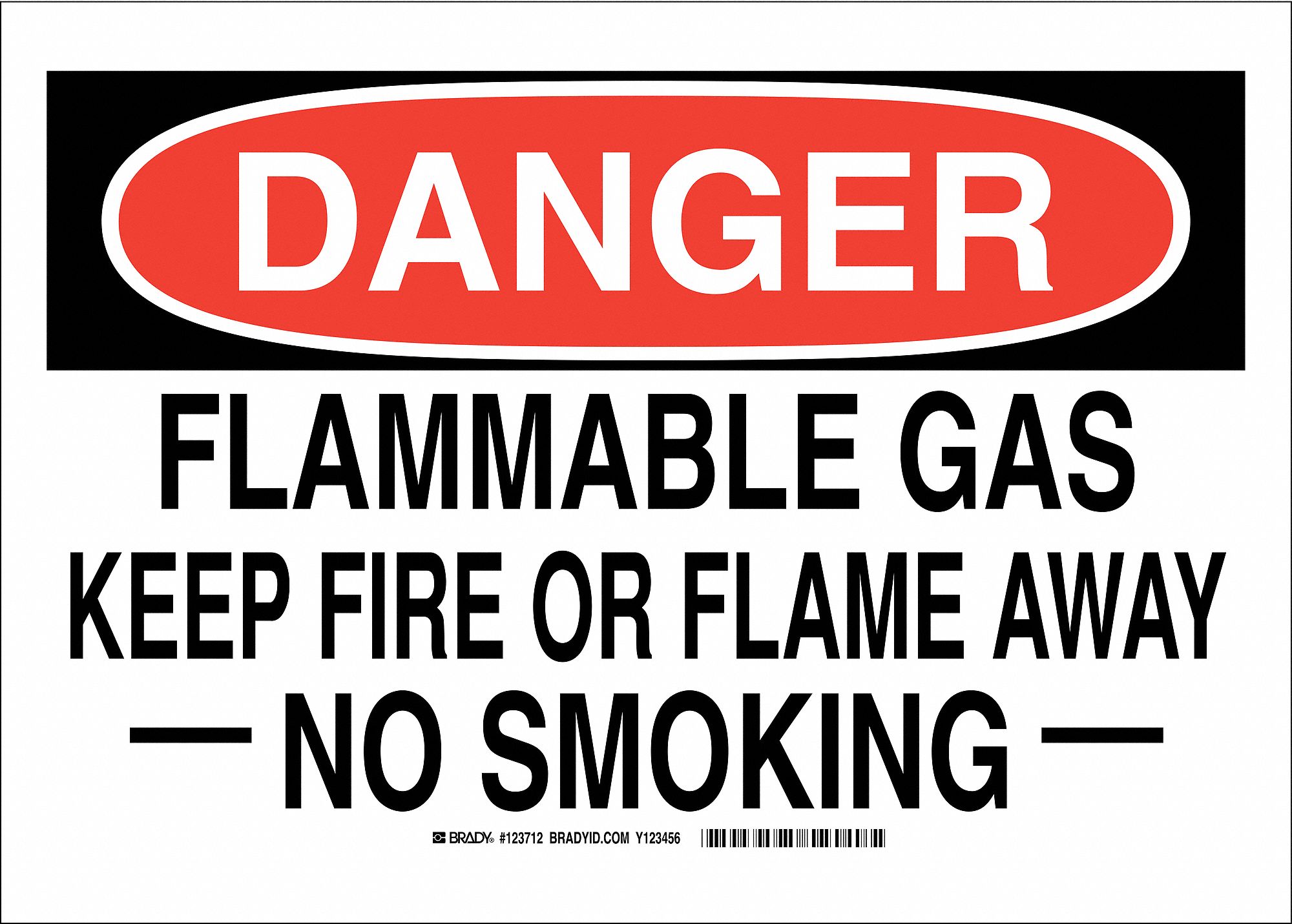 Danger No Smoking Sign, Flammable, 10x14