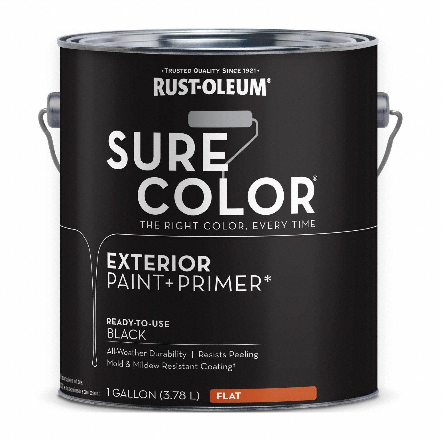 Exterior Paint and Primer: Gen Purpose Paint and Primer, Exterior, Masonry/Wood, Water
