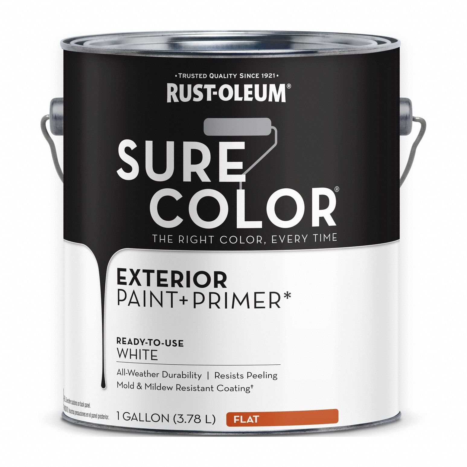 Exterior Paint and Primer: Gen Purpose Paint and Primer, Exterior, Masonry/Wood, Water