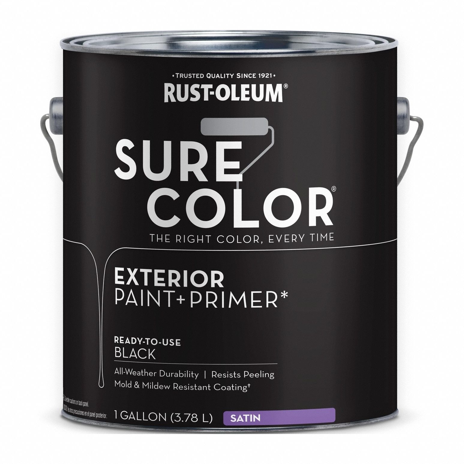 Exterior Paint and Primer: Gen Purpose Paint and Primer, Exterior, Masonry/Wood, Water