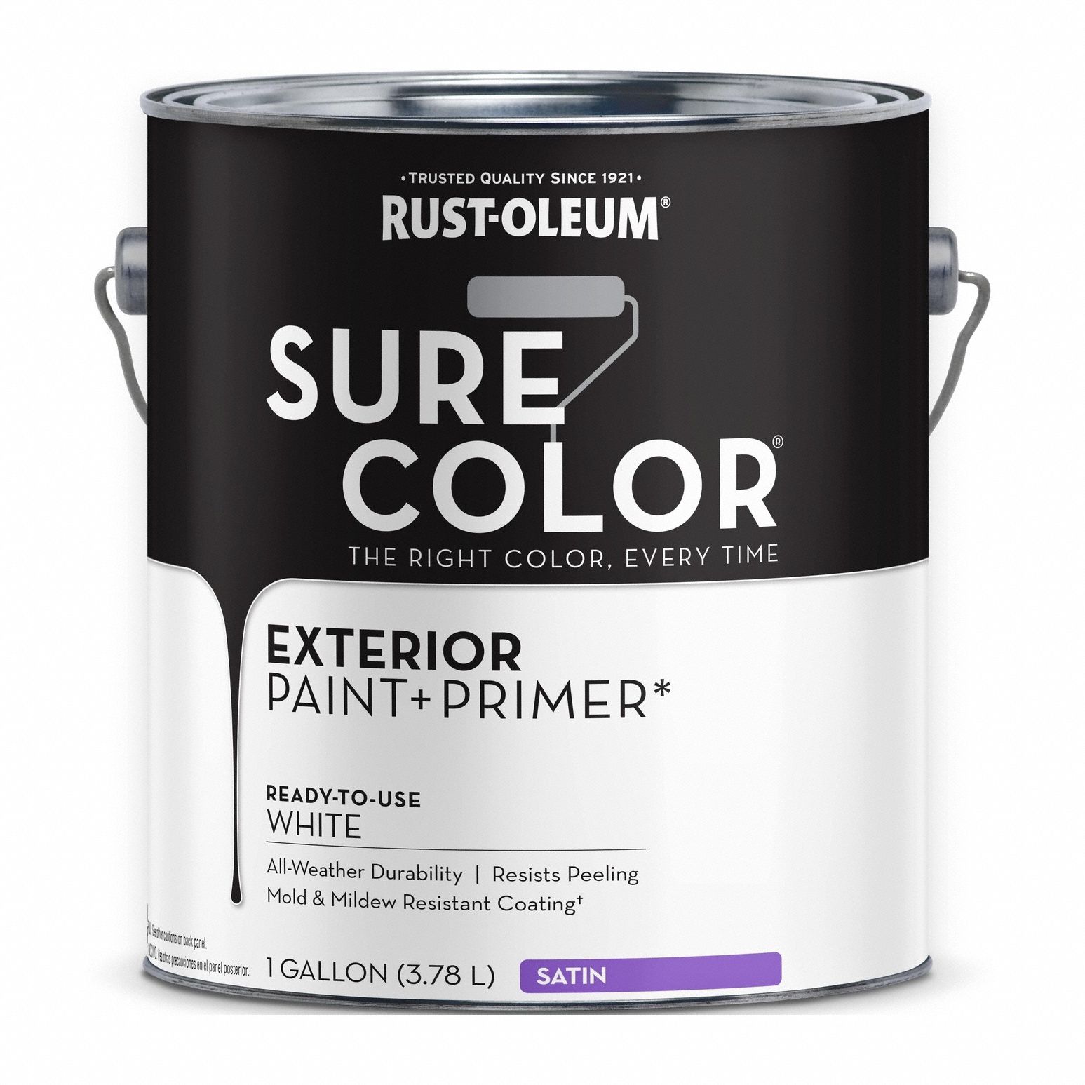 Exterior Paint and Primer: Gen Purpose Paint and Primer, Exterior, Masonry/Wood, Water