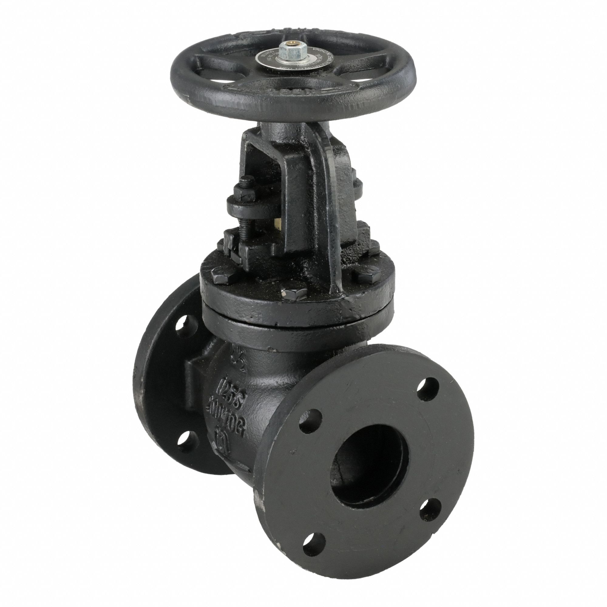 Globe Valve: For Gas/Oil/Steam/Water Media, Cast Iron, Z-Body, 2 1/2 in Pipe Size