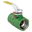 Cast Iron and Ductile Iron Inline Oil Patch Ball Valves, 2-Piece Valve Structure image