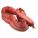 Primary Product Image