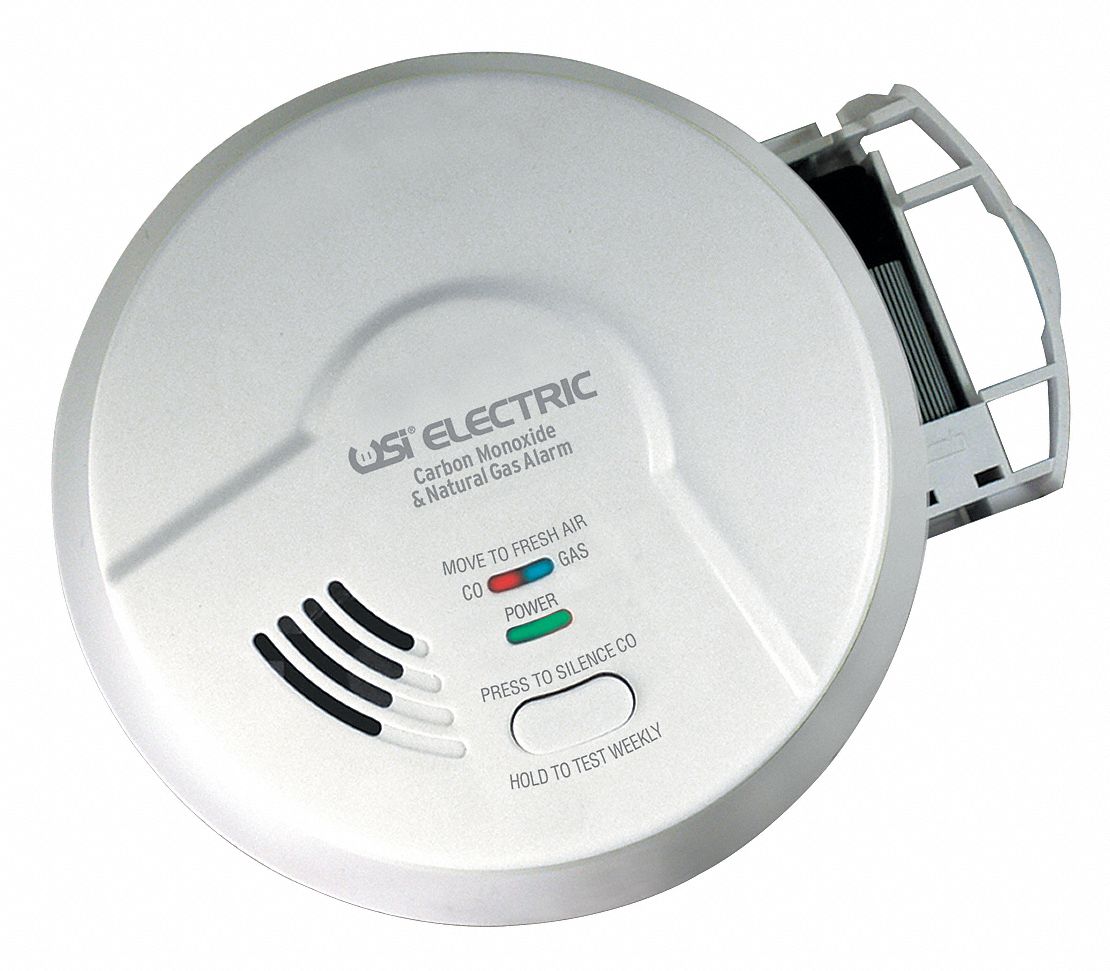 5 3/4 in Carbon Monoxide and Gas Alarm with 85 dB @ 10 Feet Audible Alert; 120V AC/DC Hardwired + 9 