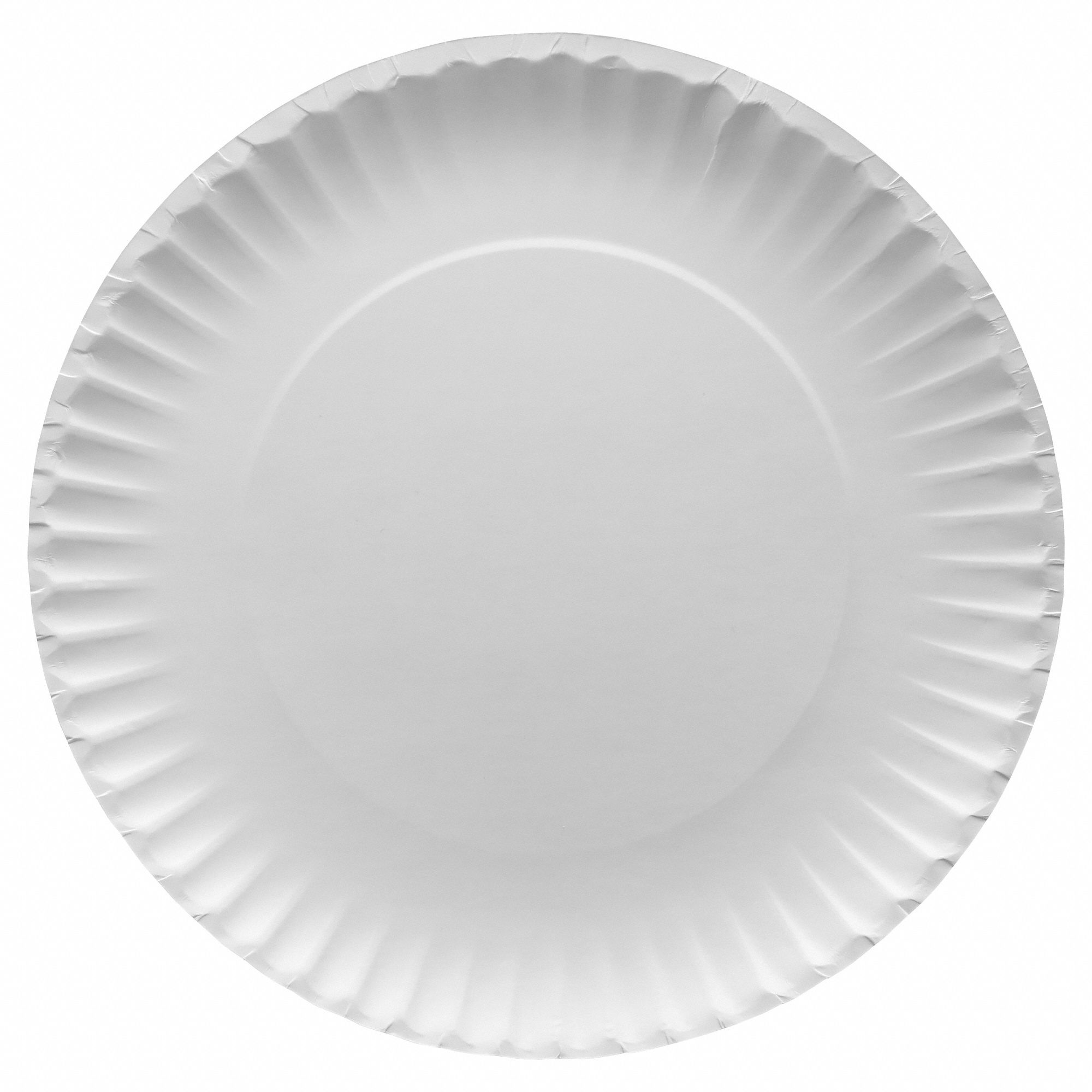 APPROVED VENDOR Disposable Paper Plate: White, Heavy-Wt, 9 in Disposable  Plate Size, 600 PK