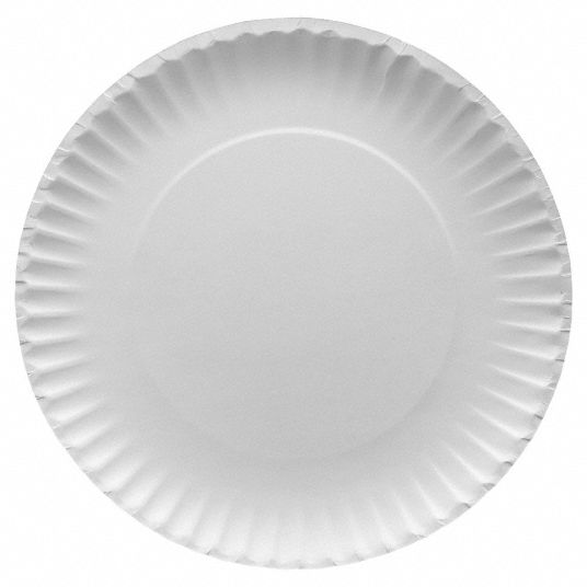 APPROVED VENDOR Disposable Paper Plate: White, Heavy-Wt, 9 in Disposable  Plate Size, 600 PK