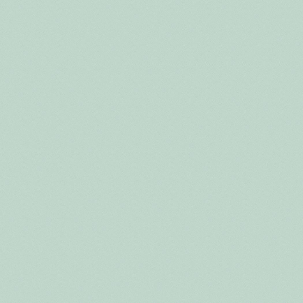 Pratt Lambert Flat Interior Ceiling Paint Latex Nevada Sky 5