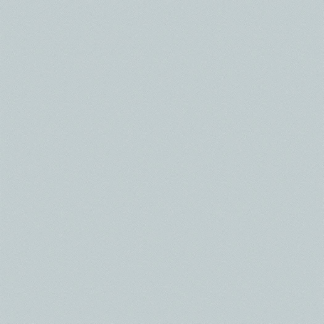 Flat Interior Ceiling Paint Latex Osprey 5 Gal