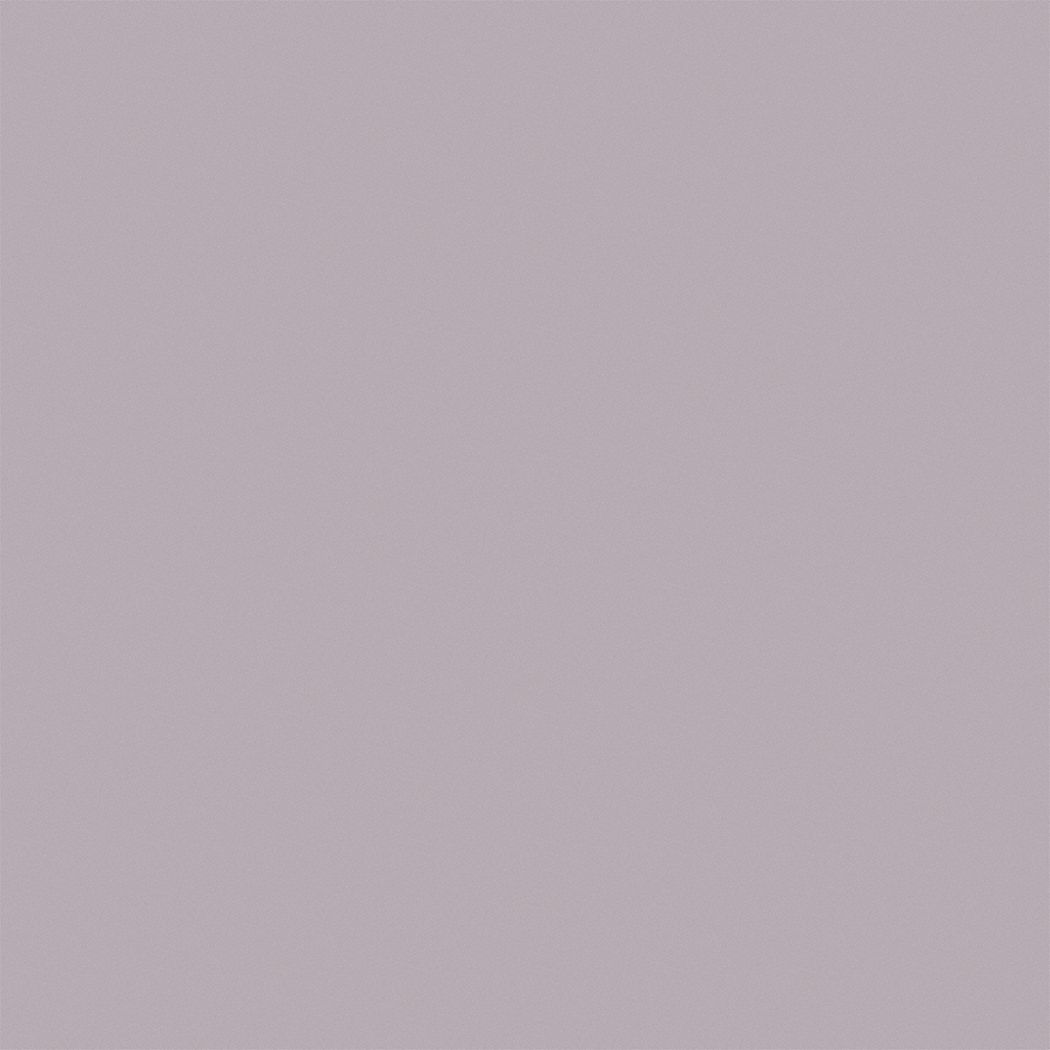 Flat Interior Ceiling Paint Latex Quartz Moon 5 Gal