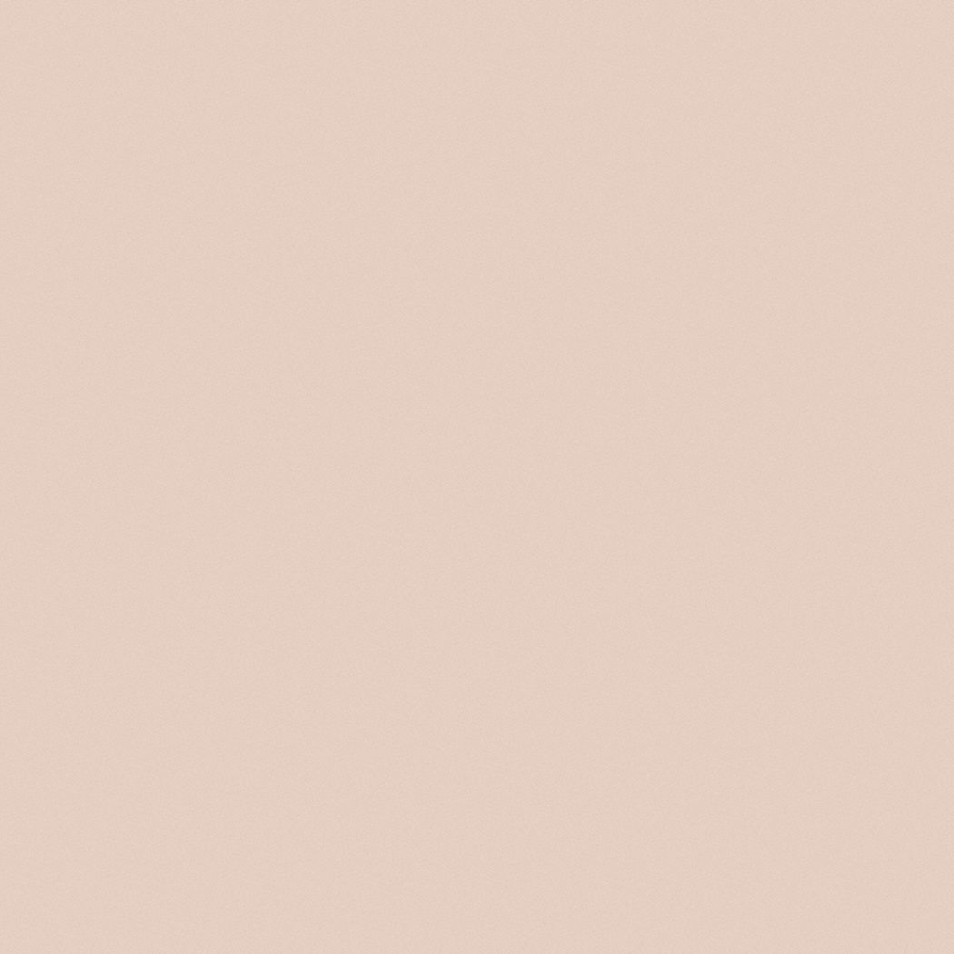 PRATT & LAMBERT Exterior Paint For Wood/Stucco/Plastic/Metal/Masonry