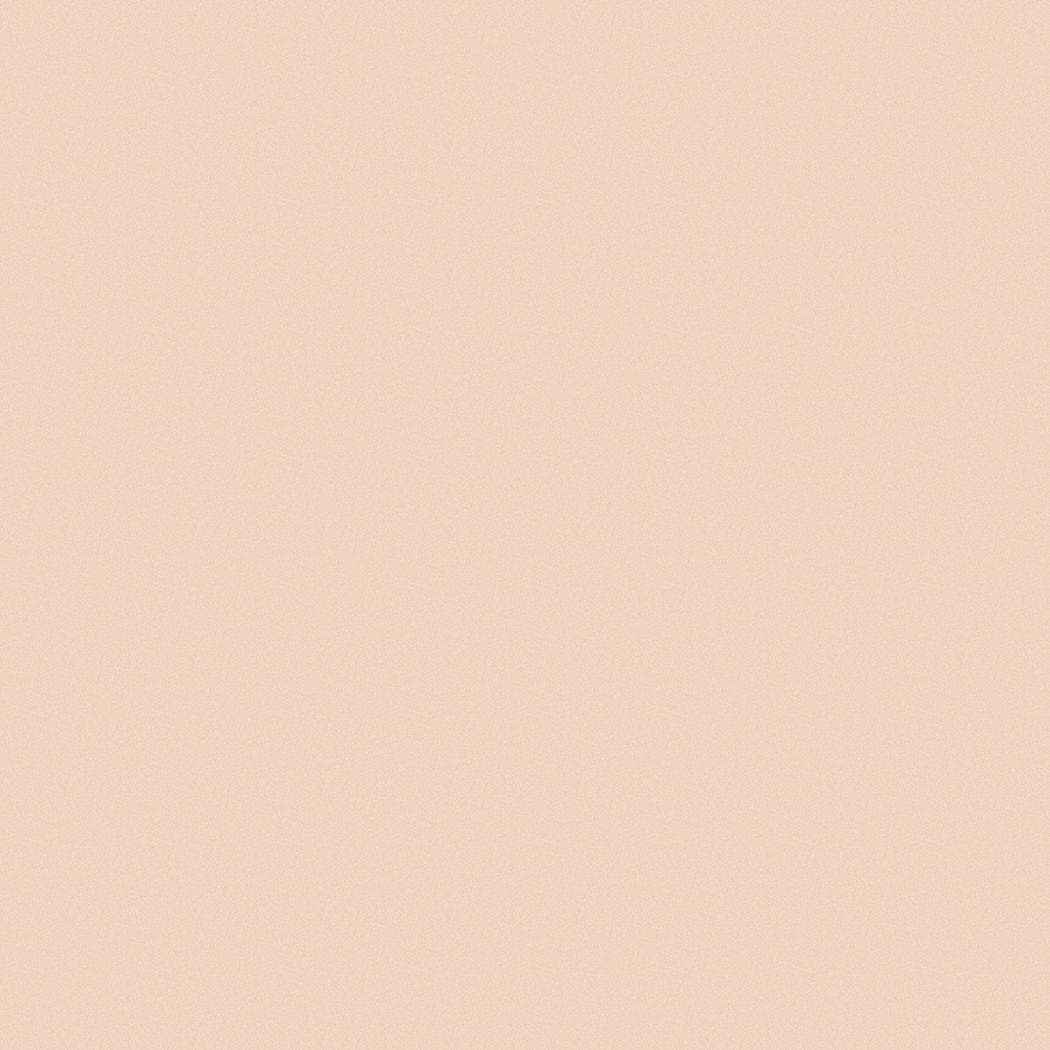 Flat Interior Ceiling Paint Latex Western Sand 5 Gal