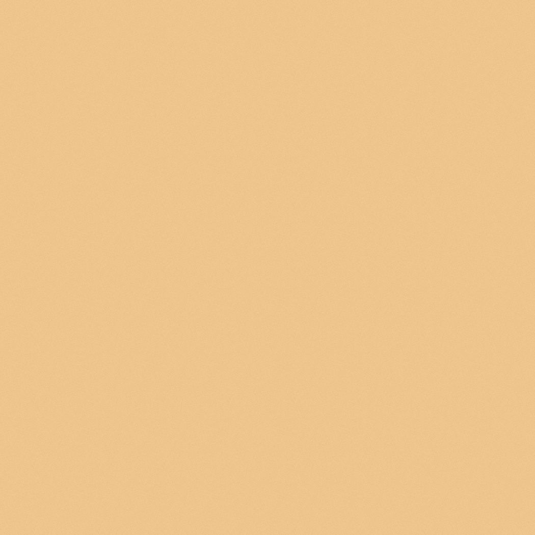 Pratt Lambert Flat Interior Ceiling Paint Latex Golden Box 5