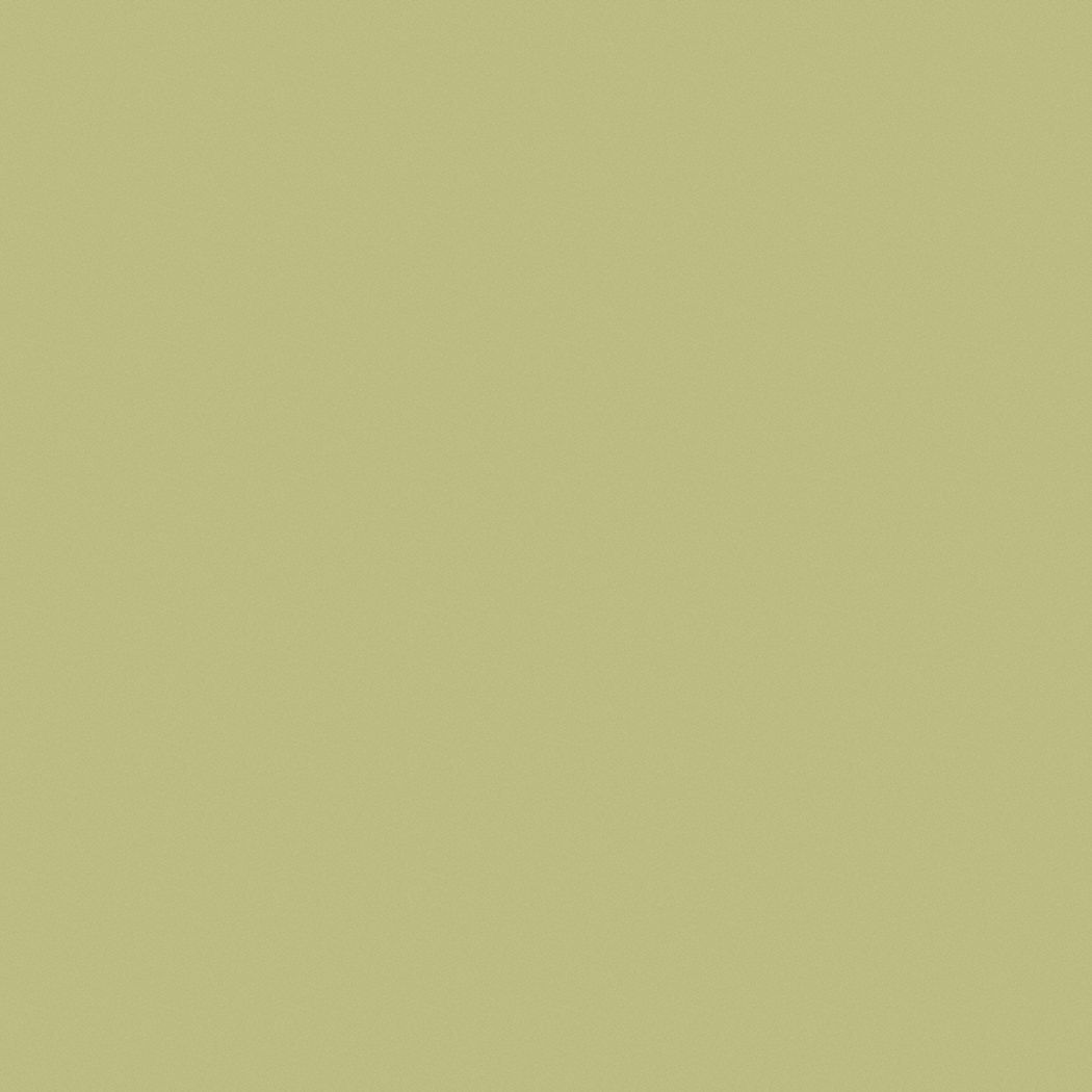 PRATT & LAMBERT Exterior Paint For Masonry/Metal/Wood, Hemlock Bud, 5