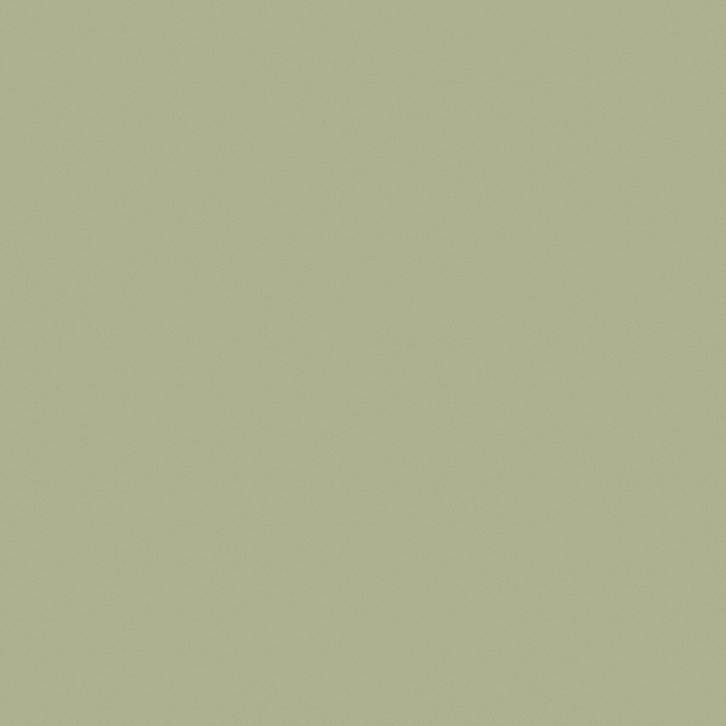 PRATT & LAMBERT MidSheen Interior Paint, Latex, Northern Green, 1 gal