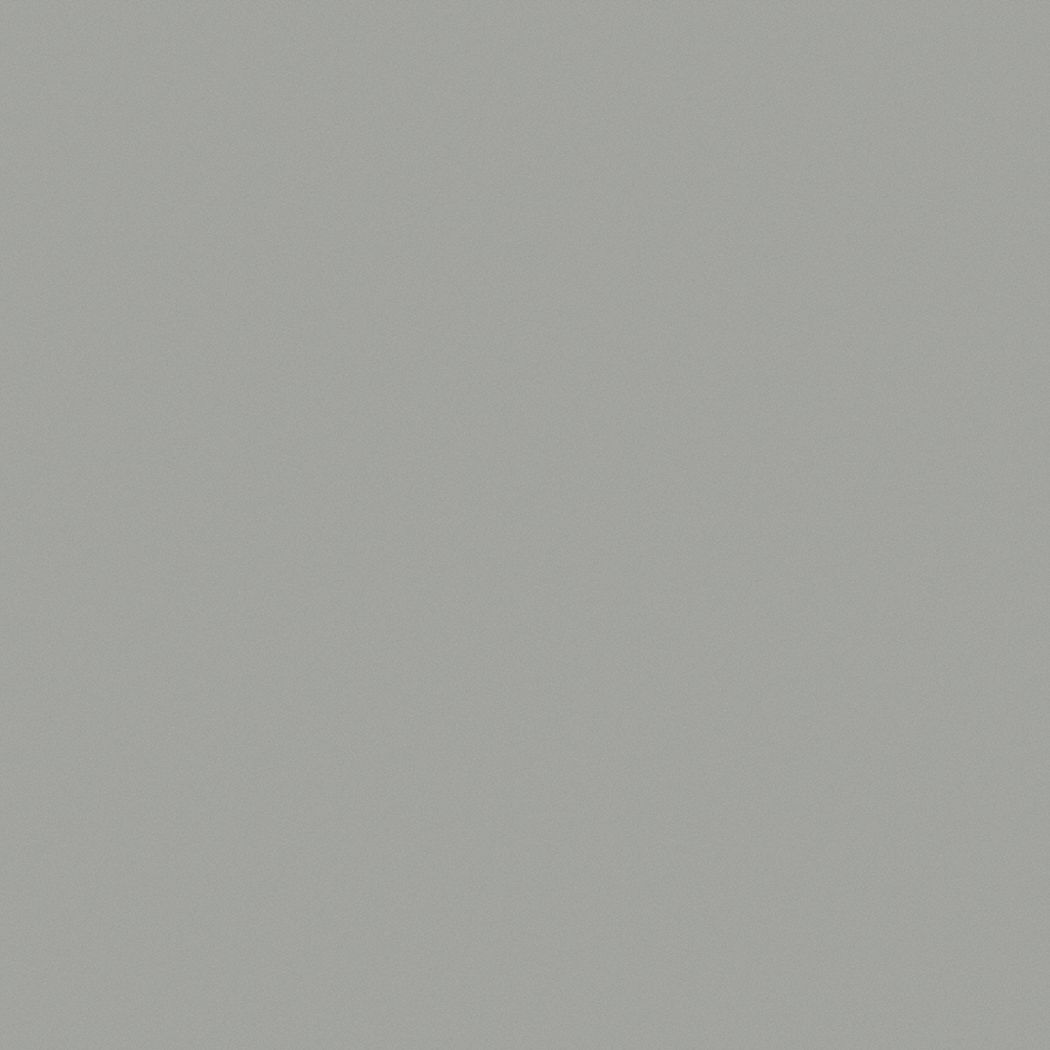 Flat Interior Ceiling Paint Latex Carolina Gull 5 Gal