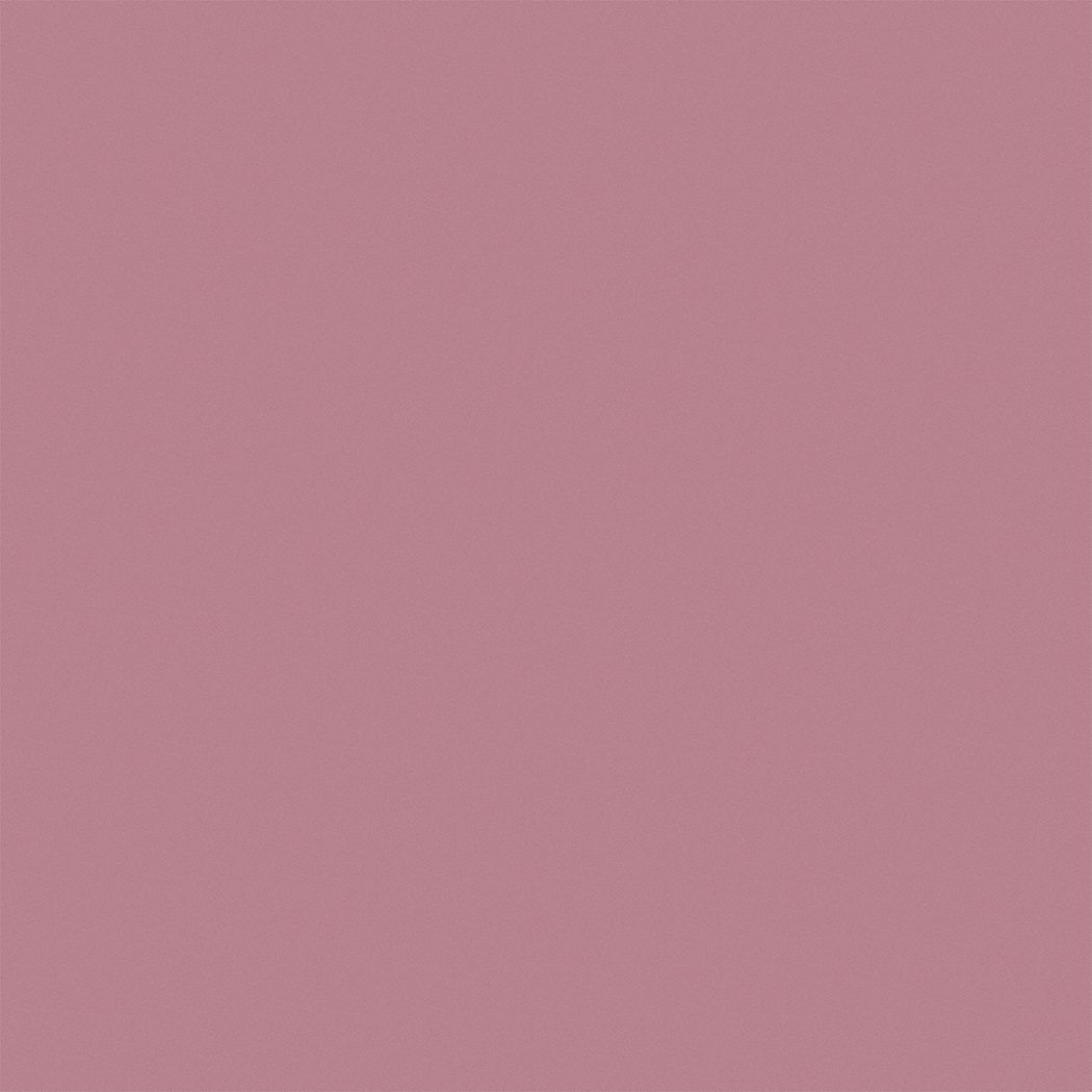 PRATT & LAMBERT Exterior Paint For Brick/Concrete/Masonry/Metal/Plastic/Stucco/Wood, Rose