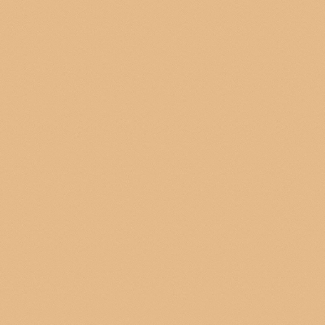 Velvet Interior Paint Latex Peach 1 Gal