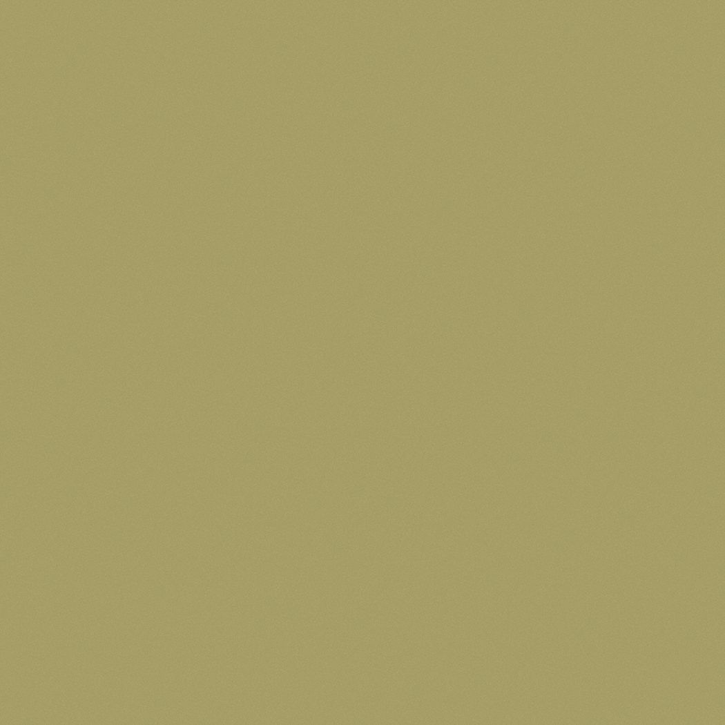 PRATT & LAMBERT Interior Paint For Metal/Plaster/Wood/Drywall/Masonry, Burr, 1 gal Size, Latex