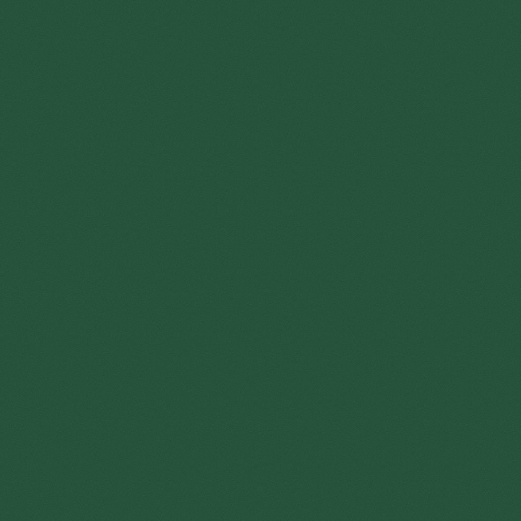 PRATT & LAMBERT Exterior Paint For Masonry/Metal/Wood, Forest Wonder, 1 gal Size, Latex