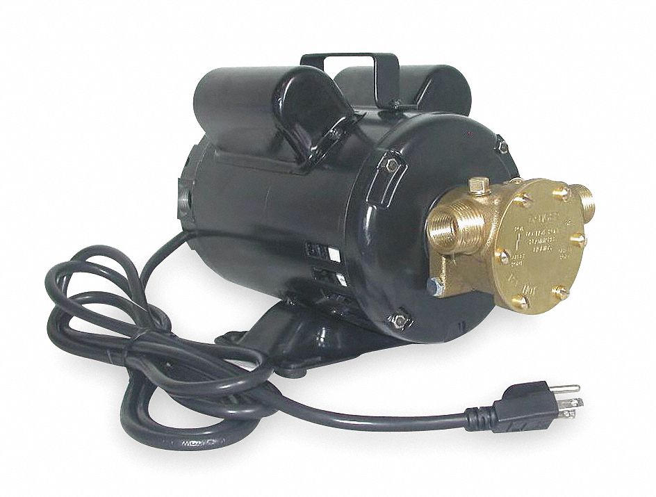 DAYTON Pump: 115 to 230V AC, 50 ft of head Max head, FNPT Intake, 8 ft Cord  Lg, 1/2 in FNPT, Brass