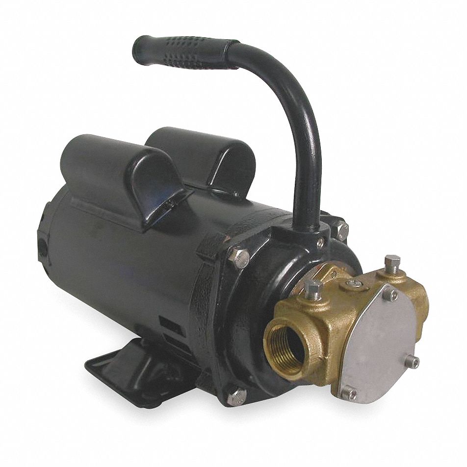 DAYTON 11.0/5.5 Amps 1 hp HP Flexible Impeller Pump, 36.7 psi psi, 11/4 NPT 3ACD33ACD3