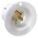 Product Image #4