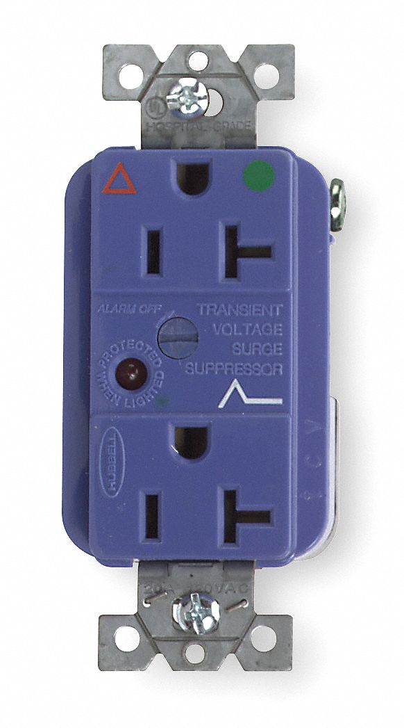 RECEPTACLE, DUPLEX, 5-20R, 20 A, 125V AC, BLUE, 2 POLE/3 WIRE POLES AND WIRES