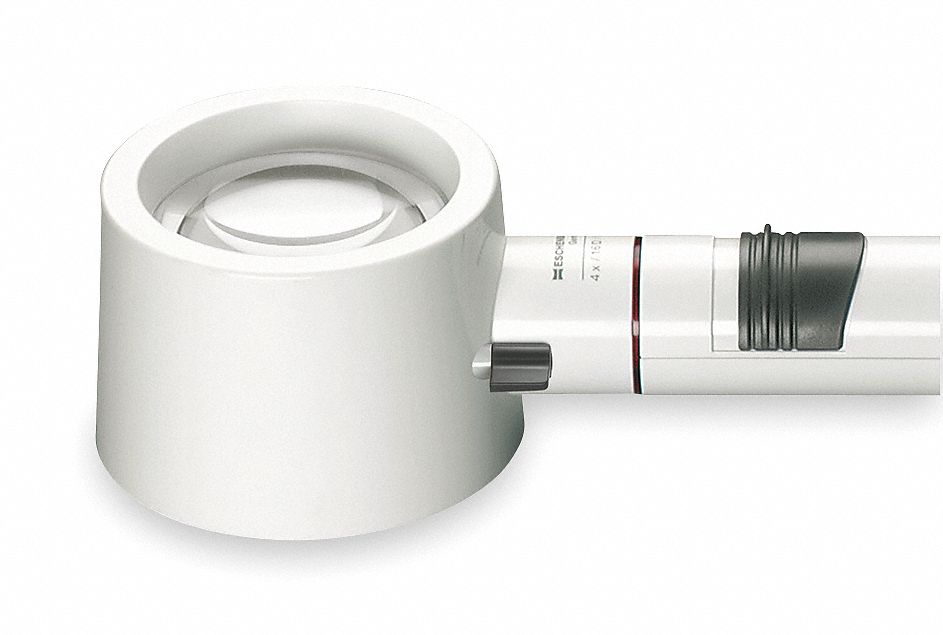 Magnifying Head: Focal