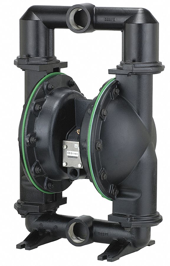 DOUBLE DIAPHRAGM PUMP,3/4" FNPT