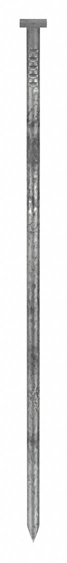 Brads, 2" L, Galvanized, PK2000: Brads, T Head, Smooth, 2 in Overall Lg, Steel, Glue, 2, 000 PK