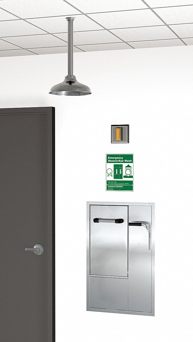 Drench Shower With Face/Eyewash, Silver