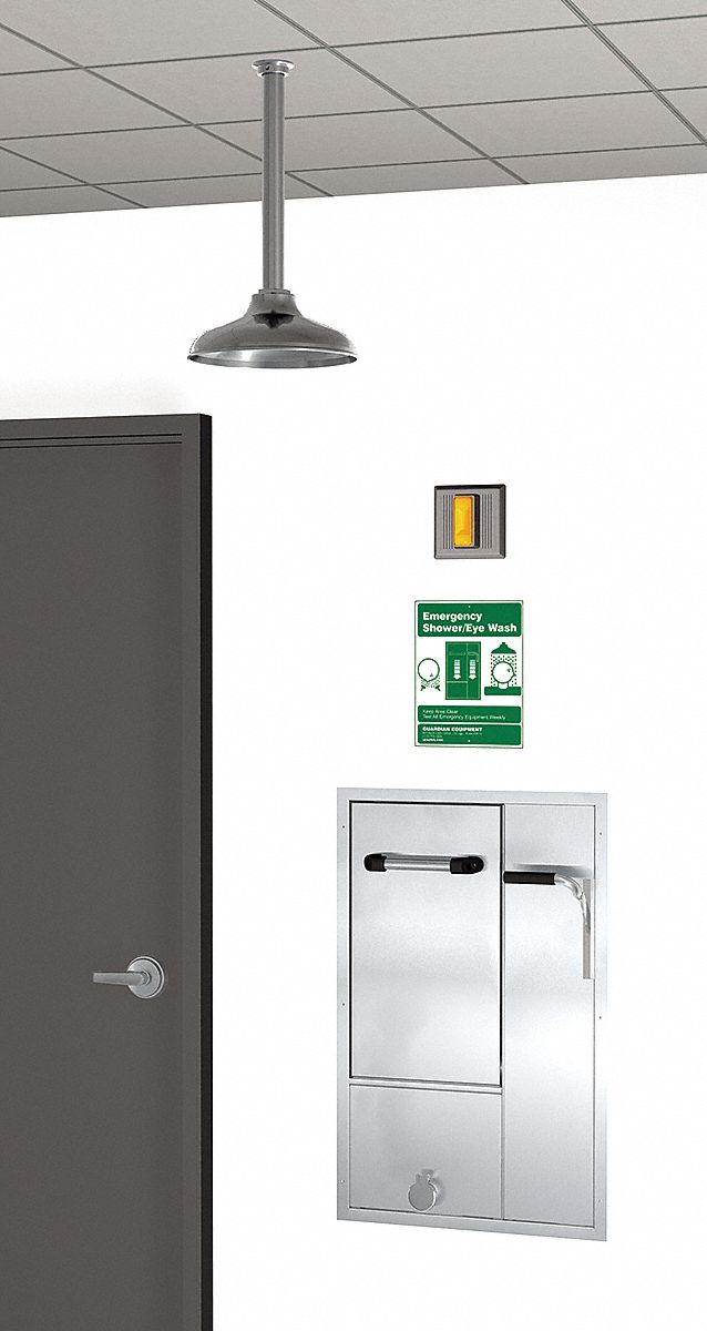 Drench Shower With Face/Eyewash, Silver