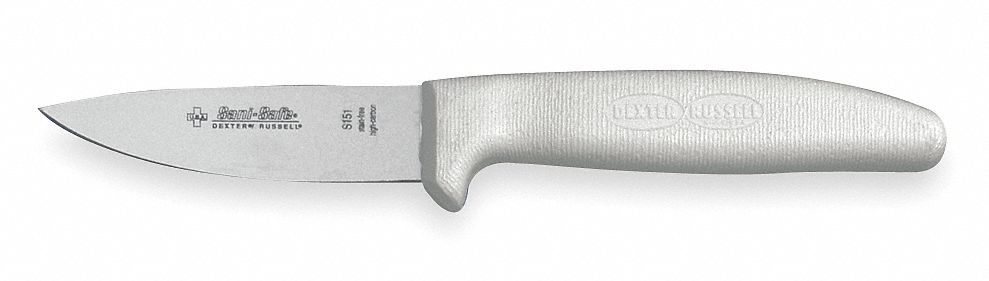 VICTORINOX Cuchillo Tipo Para Chef, 25 cm. de Longitud, Color del Mango  Verde - Cuchillería Comercial - 28J930