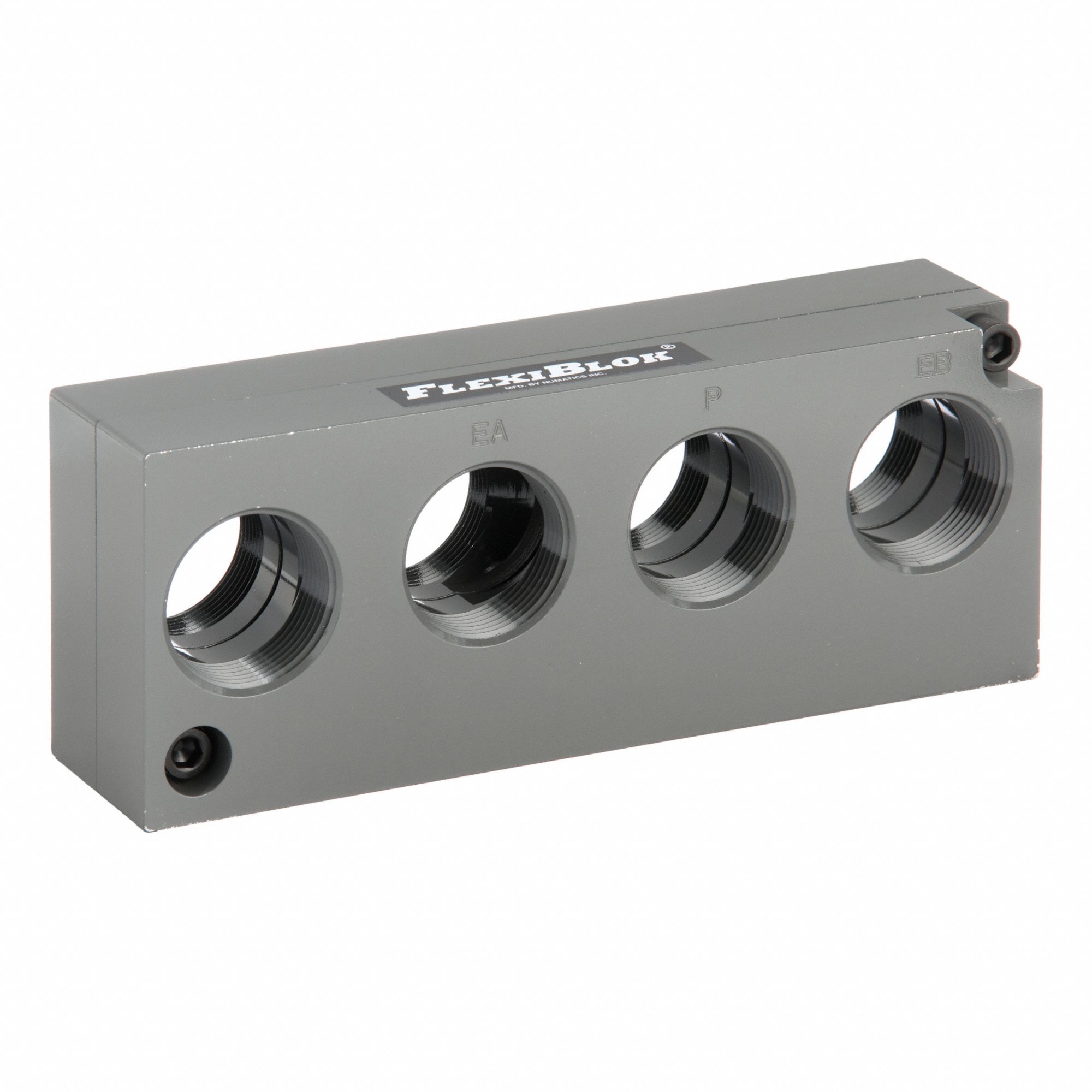 End Plate Kit: Compatible Series Mark 55, Numatics, 229-841