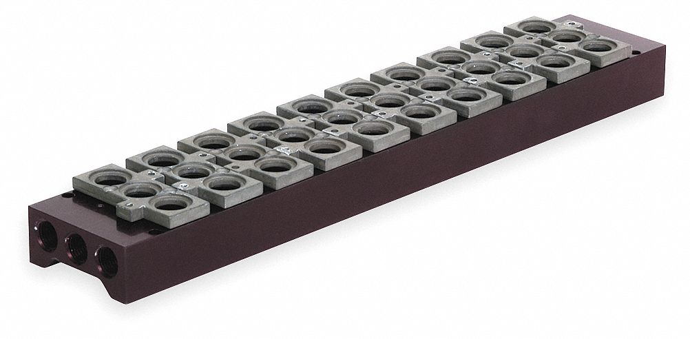 Manifold Assembly: For Series L1, 10 Valve Ports, 1/4 in, 206-1757